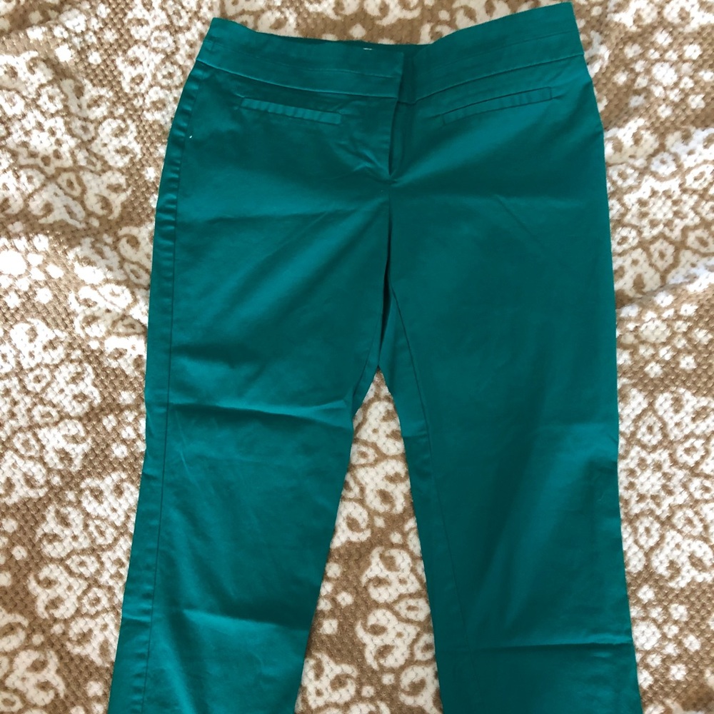 NY&Co. Crops